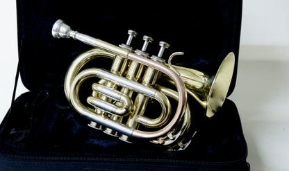 Bb-Taschentrompete MTP T-205 PT