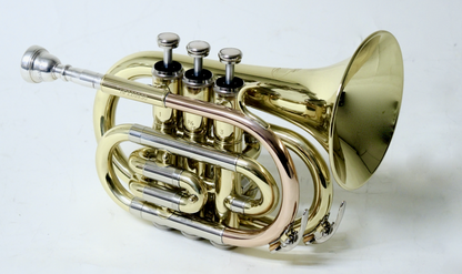 Bb-Taschentrompete MTP T-205 PT