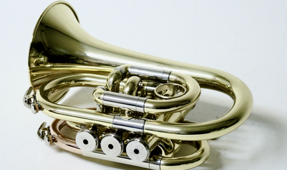 Bb-Taschentrompete MTP T-205 PT