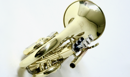 Bb-Taschentrompete MTP T-205 PT